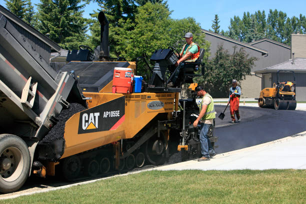 Best Interlocking Driveway Pavers  in Morehead City, NC